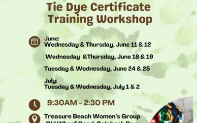 TBWG ft TDPCo Tie Dye Certificate Training